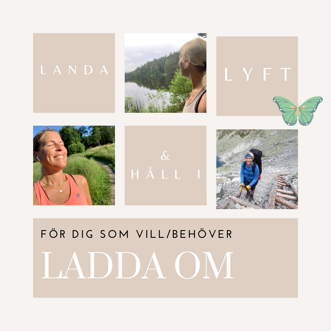 laddaom.nu