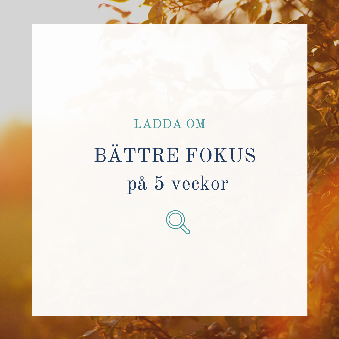 bättre fokus på 5 veckor-11