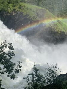 IMG_2184